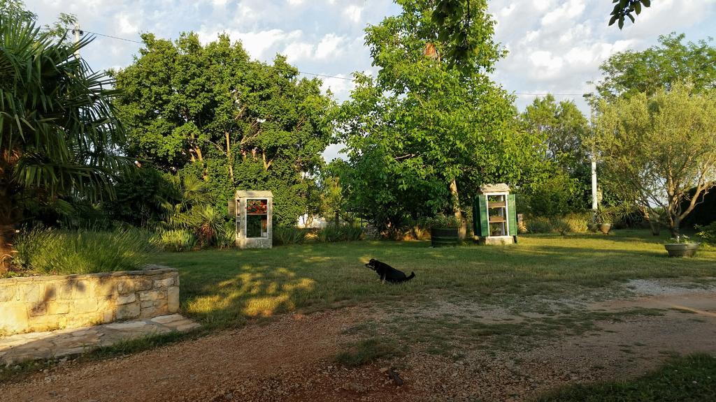Apartments Davor Umag Rom bilde